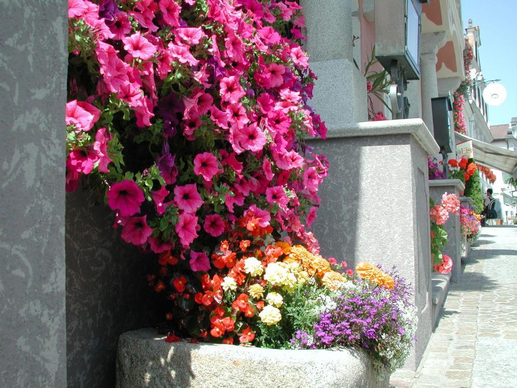 Hotel Sammer Neufelden エクステリア 写真