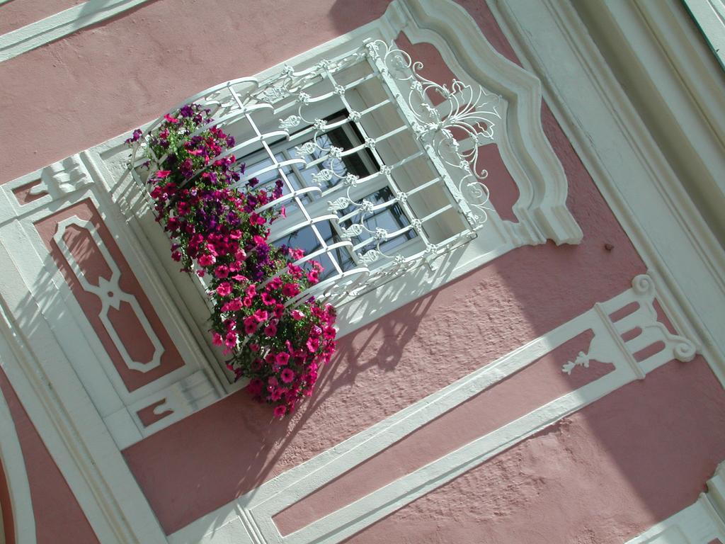 Hotel Sammer Neufelden エクステリア 写真